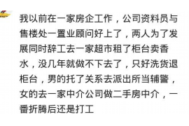 催收贷款开头工作总结