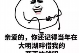 催收公司公司在哪？揭秘债务催收行业分布与选择