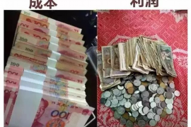 收到邮箱催收函:应对策略与案例分析 收到邮箱催收函:应对策略与案例分析