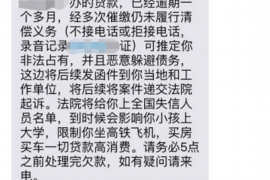 海鸥借款强制下款催收:了解真相与应对策略 海鸥借款强制下款催收:了解真相与应对策略