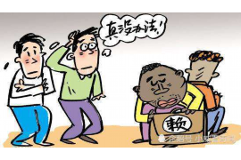 王胜男讨债林大为:一场法律维权的较量 王胜男讨债林大为:一场法律维权的较量