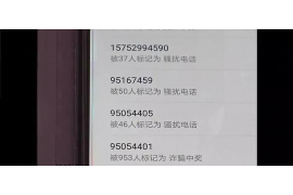 长沙上市要账公司招聘会计:职业新机遇,财务领域的璀璨明珠 长沙上市要账公司招聘会计:职业新机遇,财务领域的璀璨明珠
