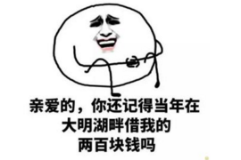 银川要账清欠公司:破解欠款难题,助力企业健康发展 银川要账清欠公司:破解欠款难题,助力企业健康发展