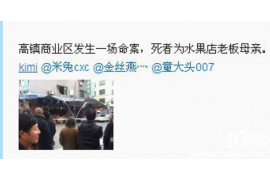 债务催收 英文表达与跨国法律实践 债务催收 英文表达与跨国法律实践