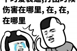 金豹要账:企业应收账款管理的智慧之道 金豹要账:企业应收账款管理的智慧之道