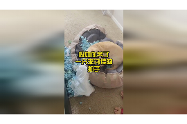 /img/814.png/img/814.png起诉怎么追讨债务/img/814.png/img/814.png /img/814.png/img/814.png起诉怎么追讨债务/img/814.png/img/814.png