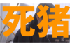 银行违规催收投诉电话：维权之路上的明灯