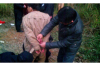 未经允许上门催收怎么举报——全面指南与案例分析
