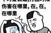 金豹要账：企业应收账款管理的智慧之道